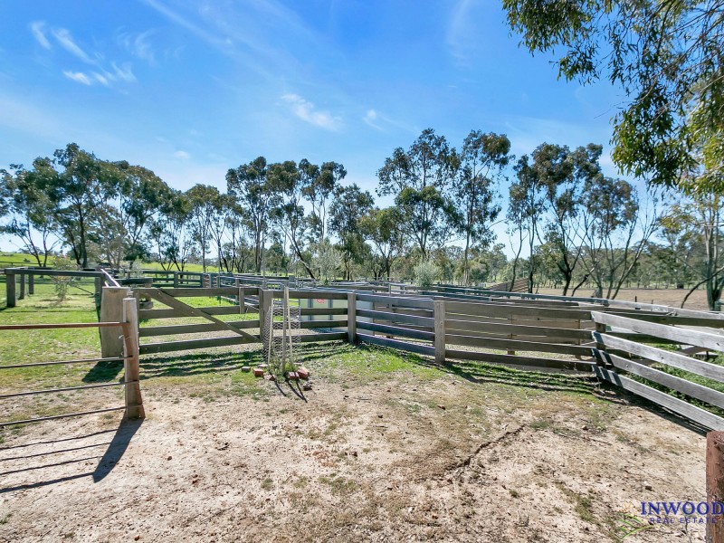 128 Murray Road, Keyneton SA 5353