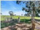 128 Murray Road, Keyneton SA 5353