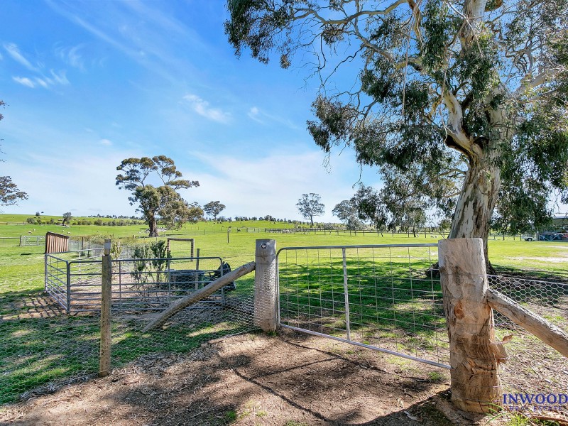 128 Murray Road, Keyneton SA 5353