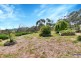 263 Warren Road, Williamstown SA 5351