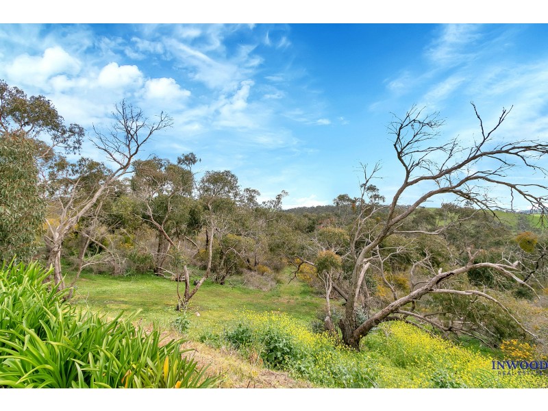 263 Warren Road, Williamstown SA 5351