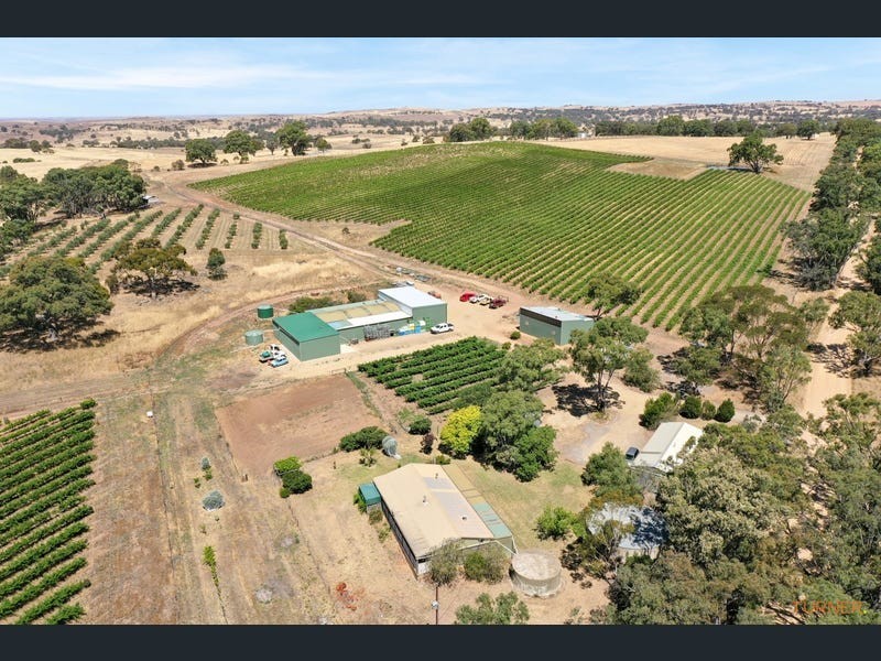 82 Koop Creek Road (Springton Hills Wines), Springton SA 5235