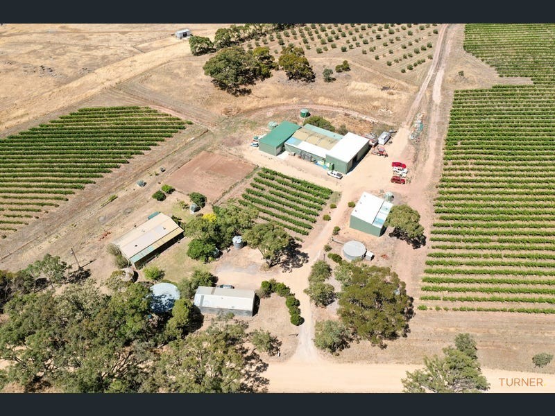 82 Koop Creek Road (Springton Hills Wines), Springton SA 5235