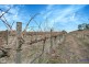 82 Koop Creek Road (Springton Hills Wines), Springton SA 5235