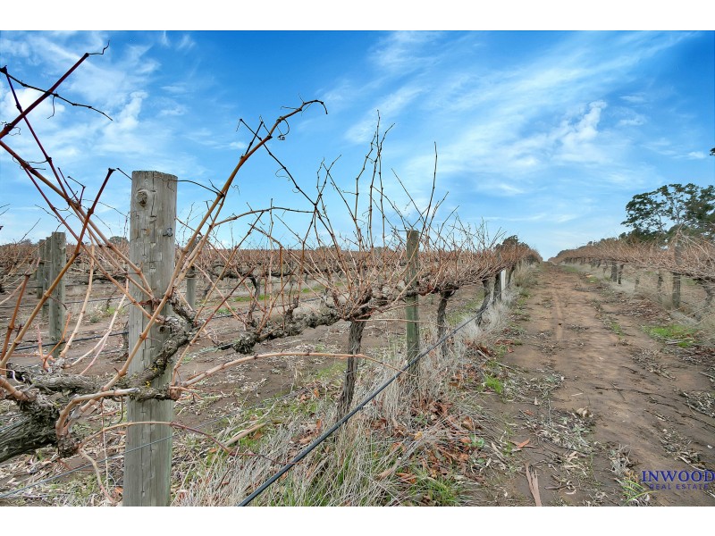 82 Koop Creek Road (Springton Hills Wines), Springton SA 5235