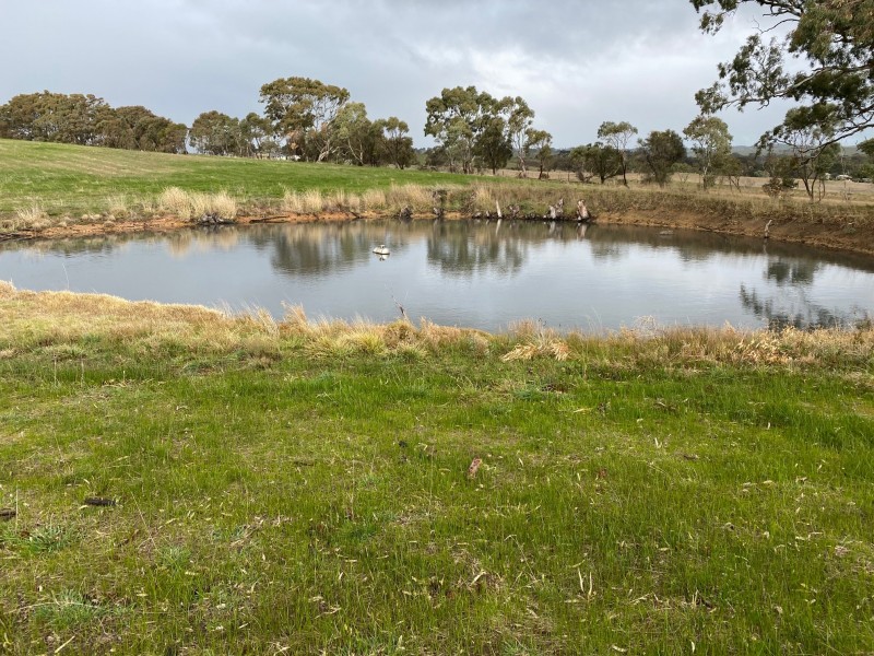 82 Koop Creek Road (Springton Hills Wines), Springton SA 5235