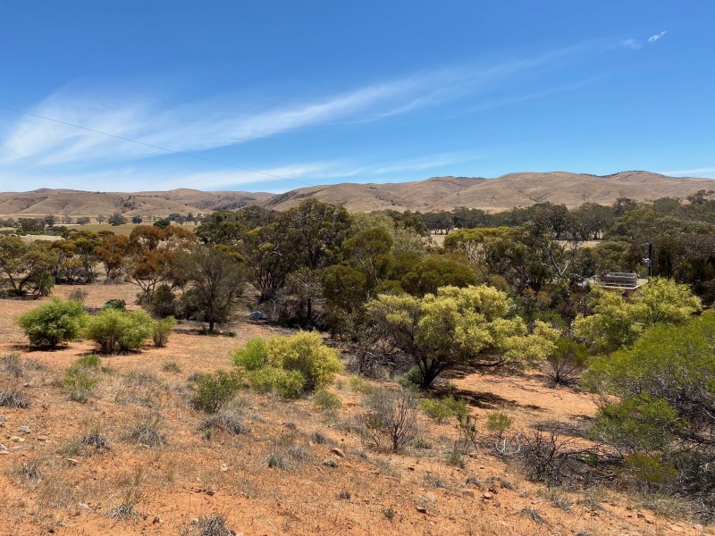 233 Bundilla Road, Cambrai SA 5353