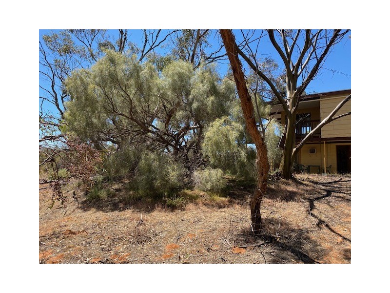 233 Bundilla Road, Cambrai SA 5353