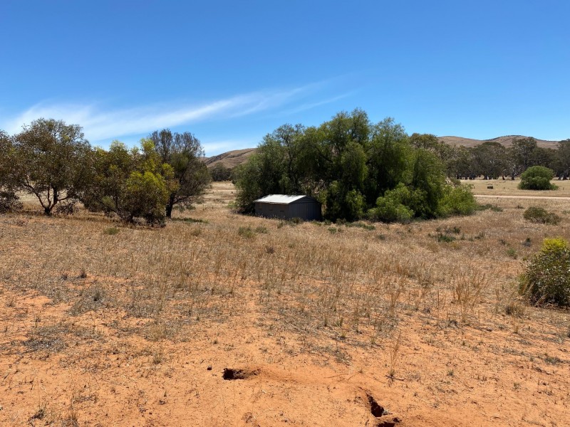 233 Bundilla Road, Cambrai SA 5353