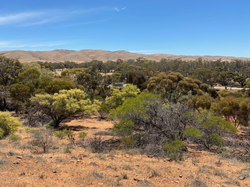 233 Bundilla Road, Cambrai SA 5353