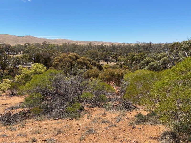 233 Bundilla Road, Cambrai SA 5353