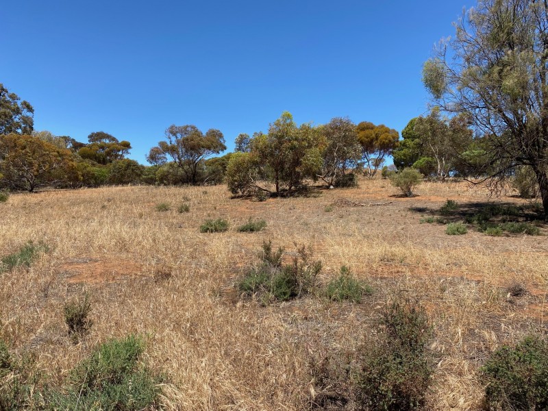 233 Bundilla Road, Cambrai SA 5353