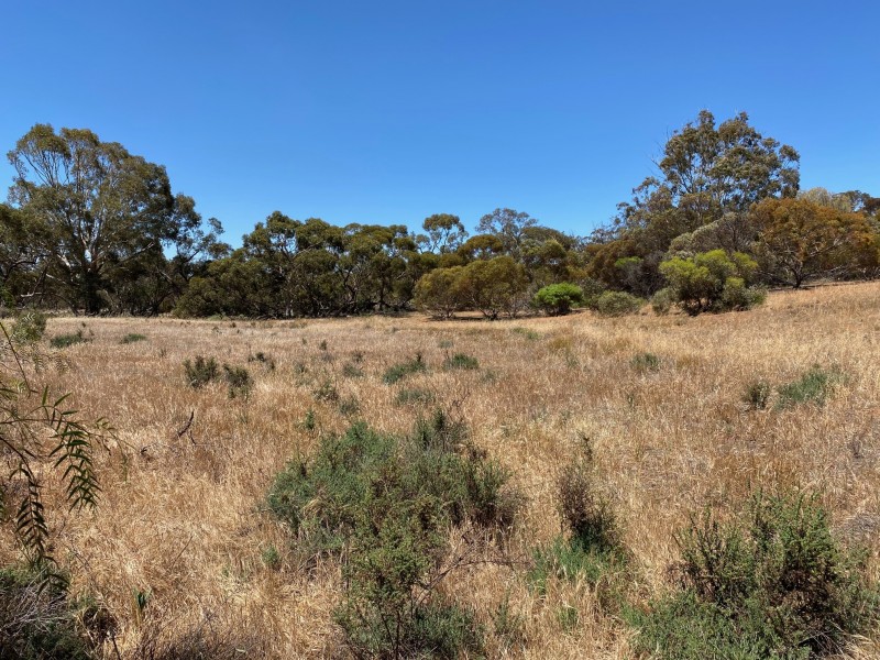 233 Bundilla Road, Cambrai SA 5353