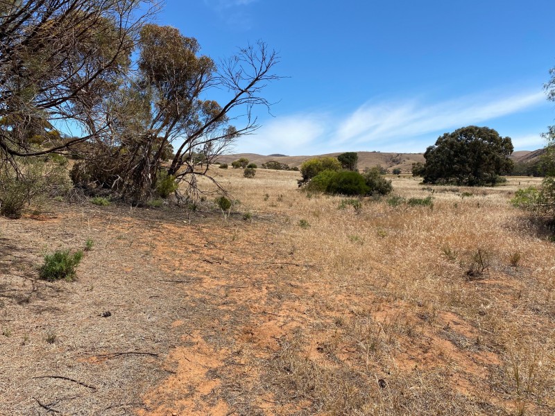 233 Bundilla Road, Cambrai SA 5353