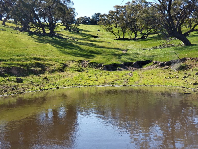 547 Keyneton Estate Road, Keyneton SA 5353