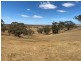 547 Keyneton Estate Road, Keyneton SA 5353