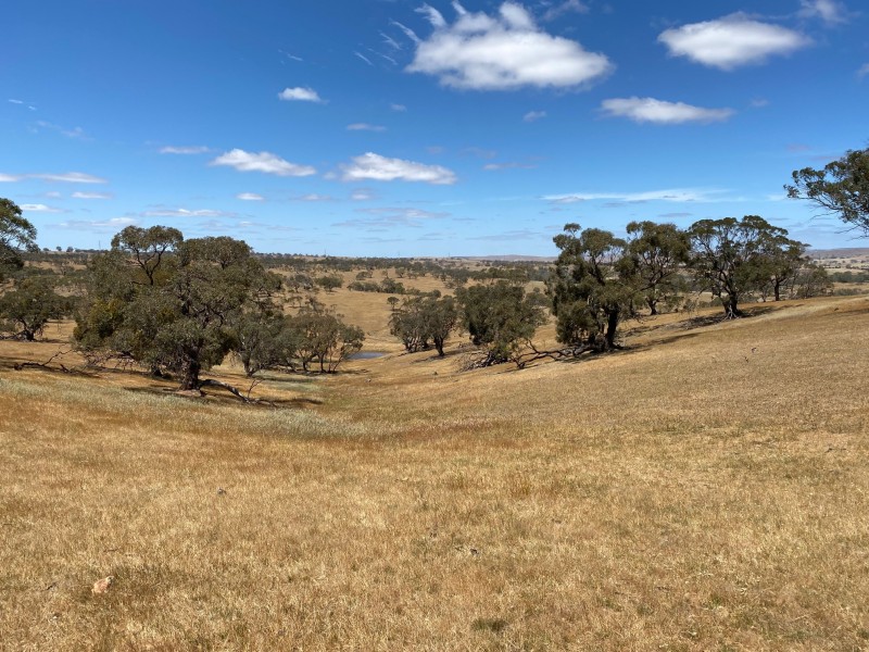 547 Keyneton Estate Road, Keyneton SA 5353