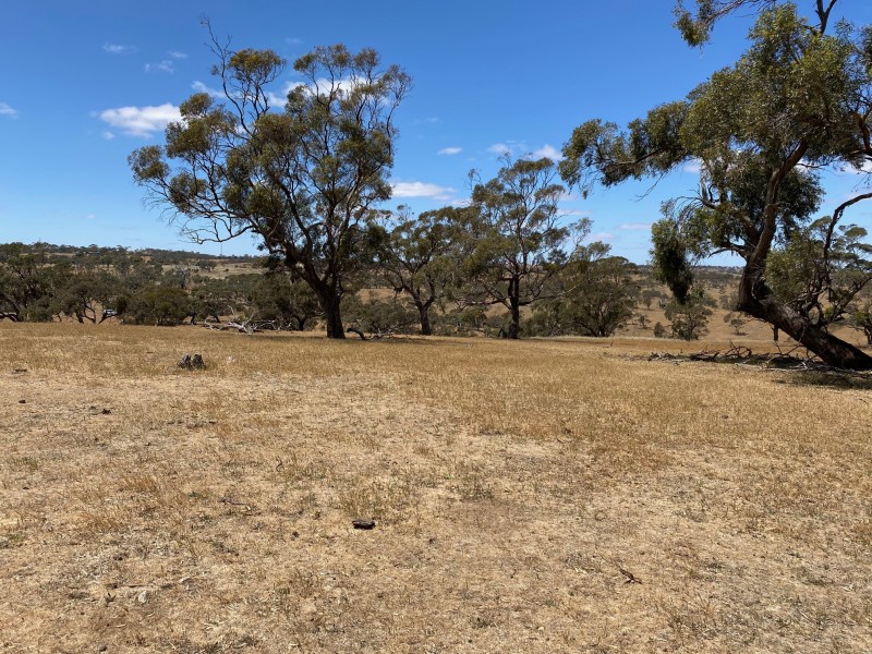 547 Keyneton Estate Road, Keyneton SA 5353