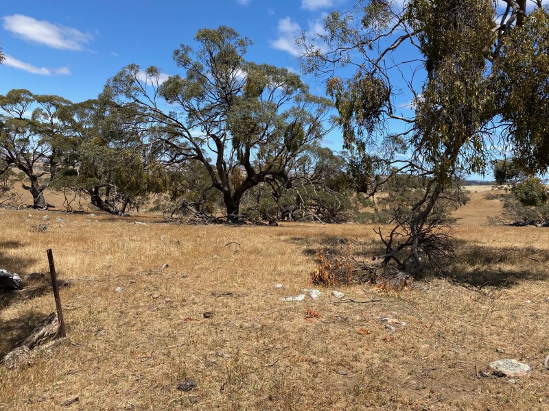 547 Keyneton Estate Road, Keyneton SA 5353