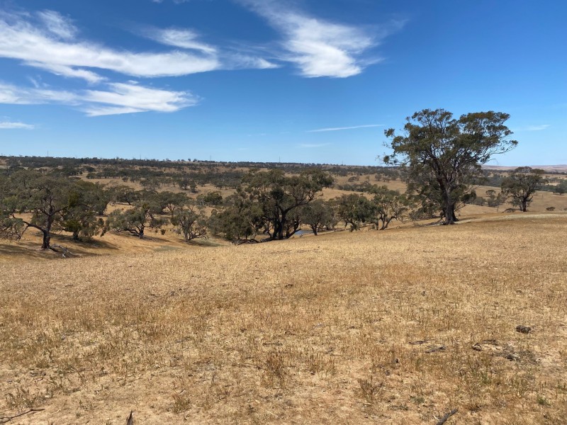 547 Keyneton Estate Road, Keyneton SA 5353
