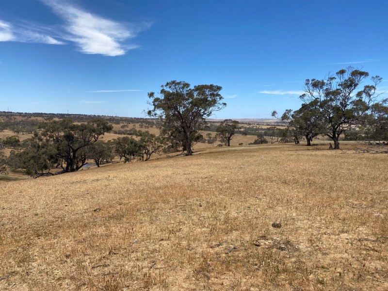 547 Keyneton Estate Road, Keyneton SA 5353