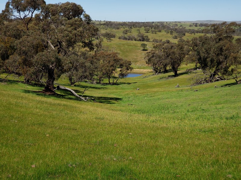 547 Keyneton Estate Road, Keyneton SA 5353