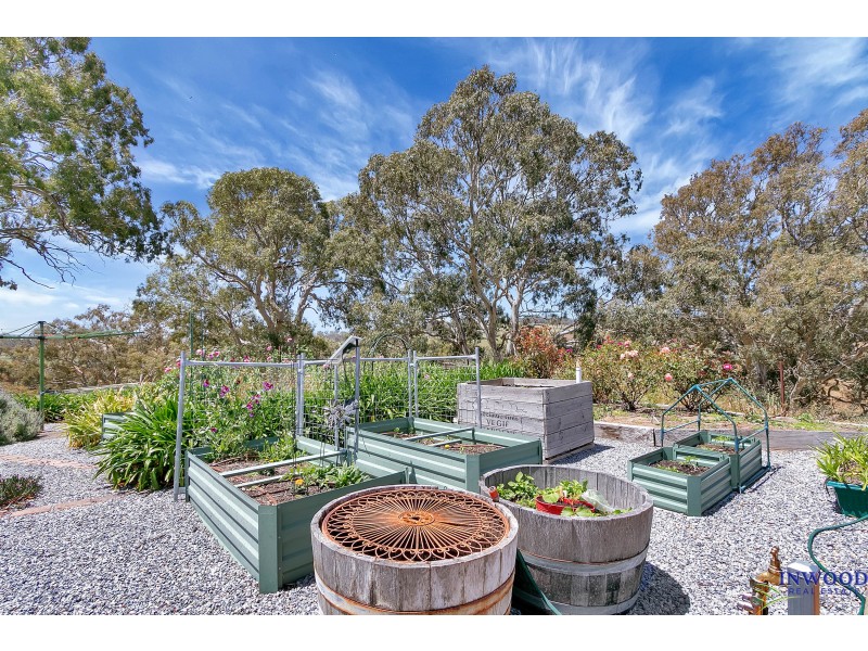231 Mcvitties Road, Birdwood SA 5234