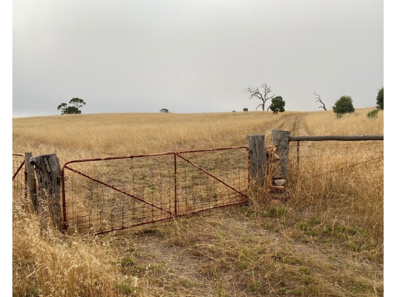 52 Moss Smith Road, Eden Valley SA 5235