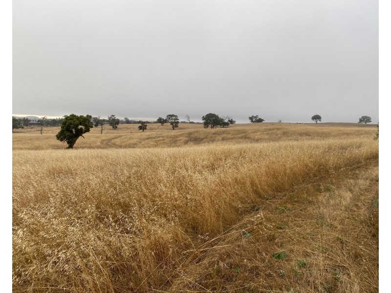 52 Moss Smith Road, Eden Valley SA 5235