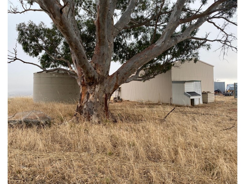 52 Moss Smith Road, Eden Valley SA 5235