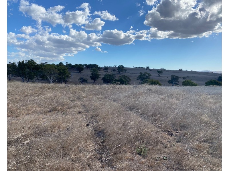 52 Moss Smith Road, Eden Valley SA 5235