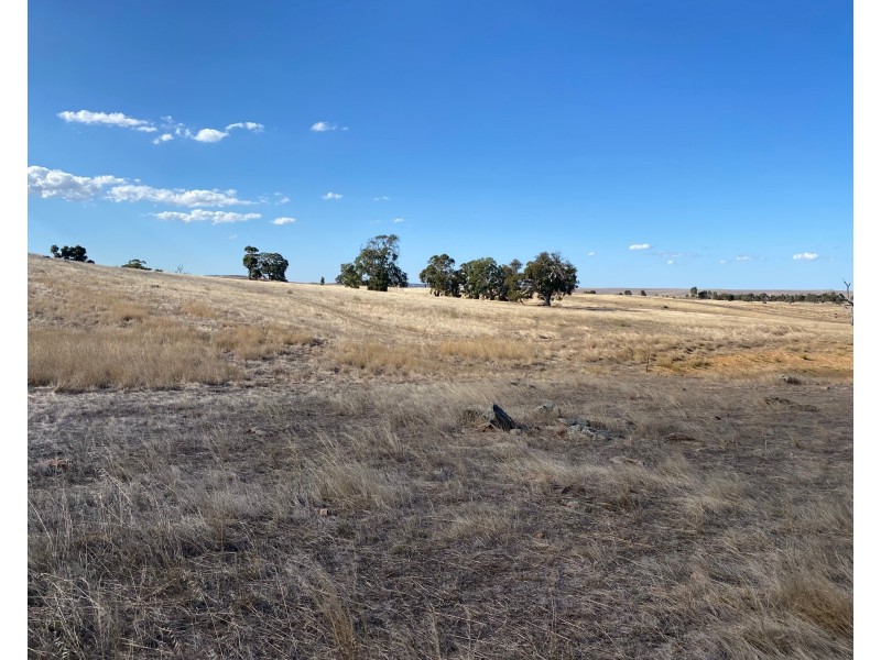 52 Moss Smith Road, Eden Valley SA 5235