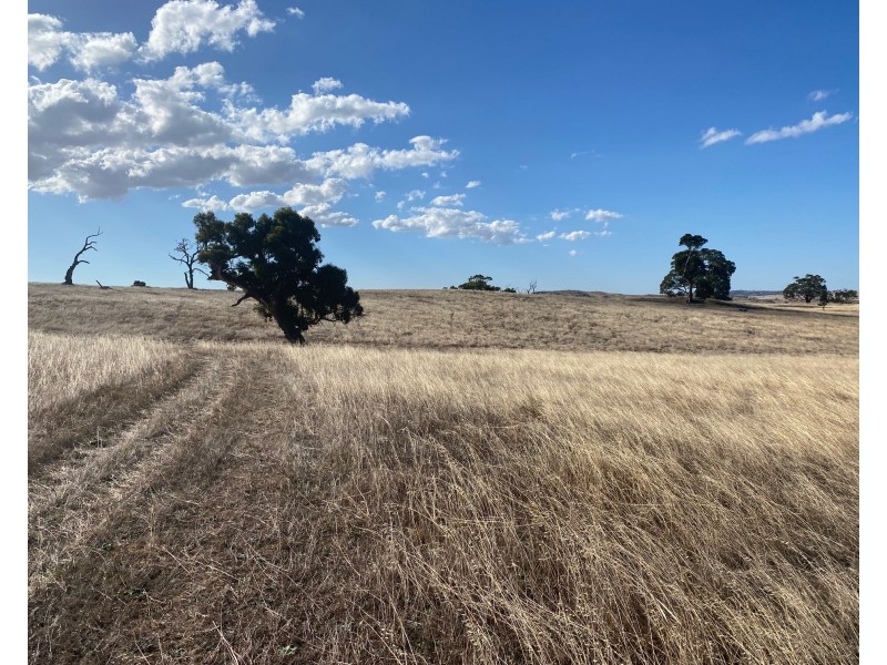 52 Moss Smith Road, Eden Valley SA 5235