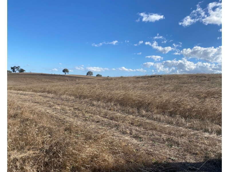 52 Moss Smith Road, Eden Valley SA 5235