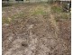 162 Melrose Street, Mount Pleasant SA 5235