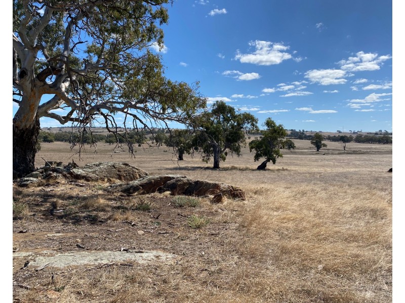 56 Strachans Road, Springton SA 5235