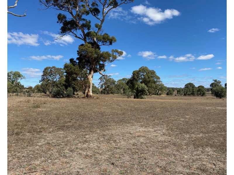 56 Strachans Road, Springton SA 5235