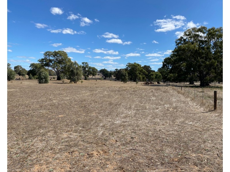 56 Strachans Road, Springton SA 5235