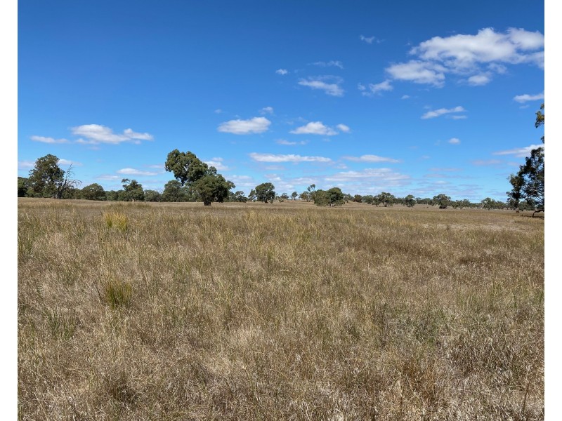 56 Strachans Road, Springton SA 5235