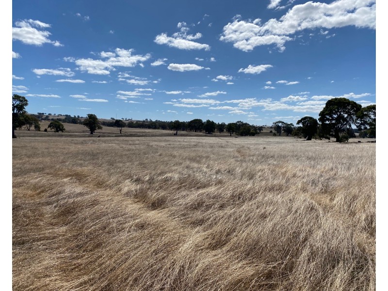 56 Strachans Road, Springton SA 5235