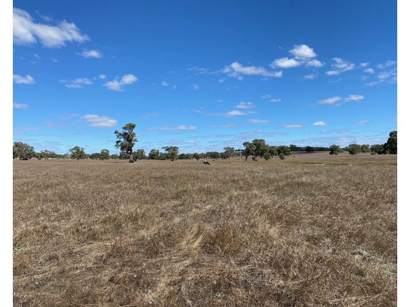 56 Strachans Road, Springton SA 5235