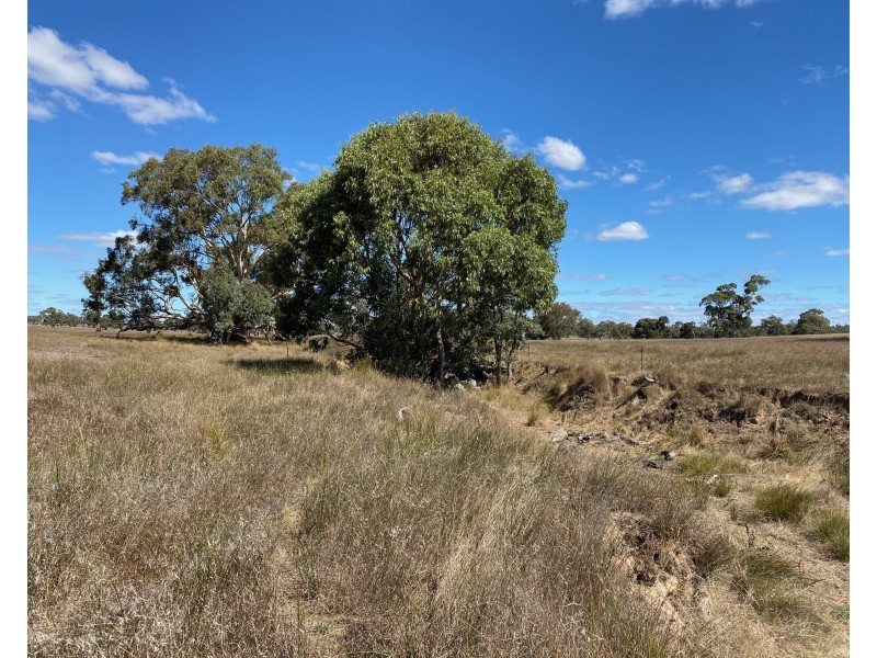 56 Strachans Road, Springton SA 5235