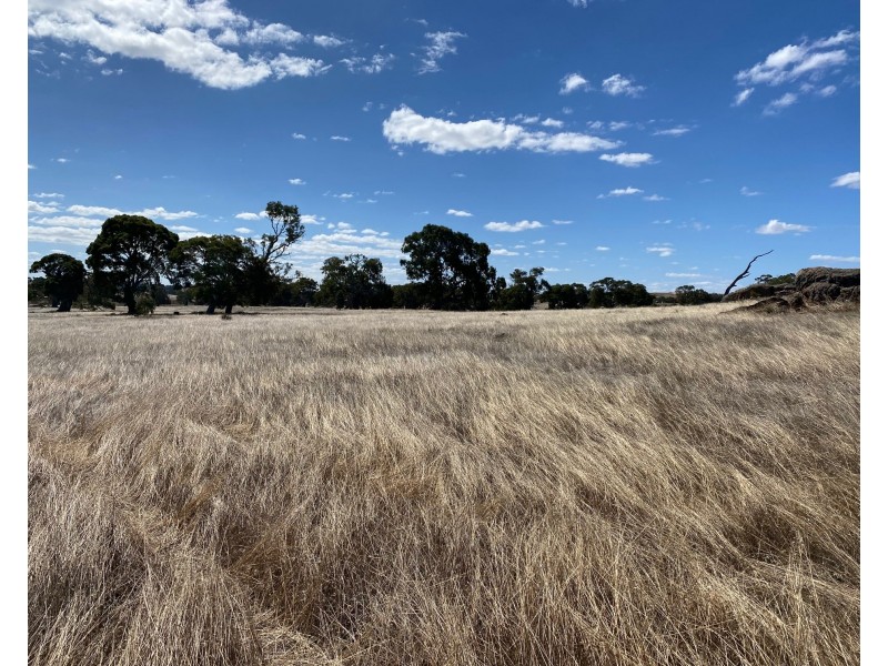 56 Strachans Road, Springton SA 5235