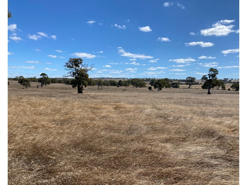 56 Strachans Road, Springton SA 5235