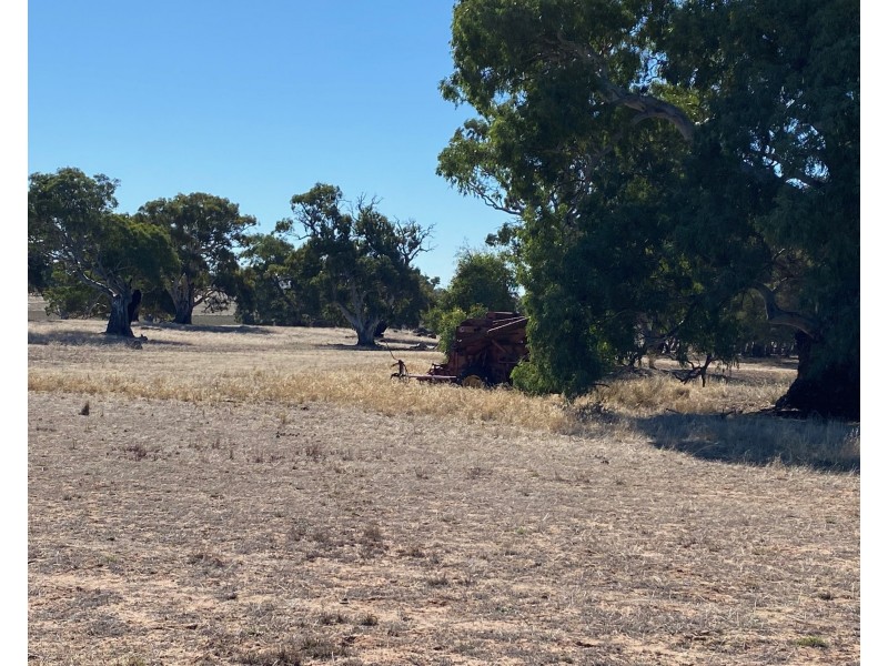 56 Strachans Road, Springton SA 5235