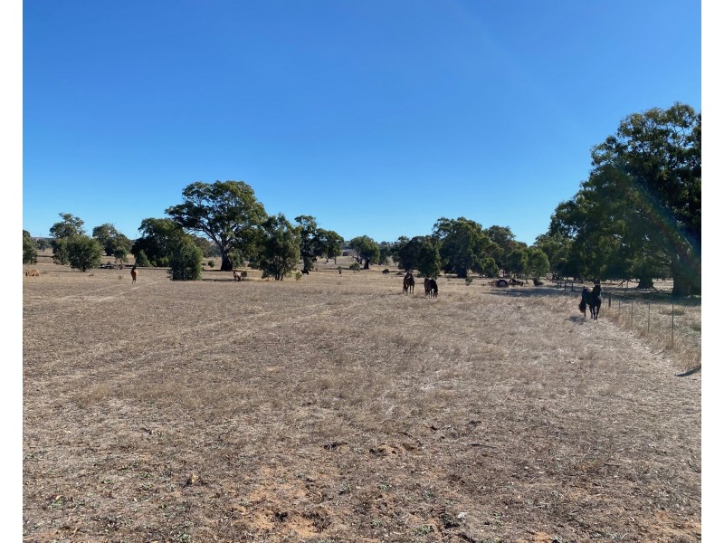 56 Strachans Road, Springton SA 5235