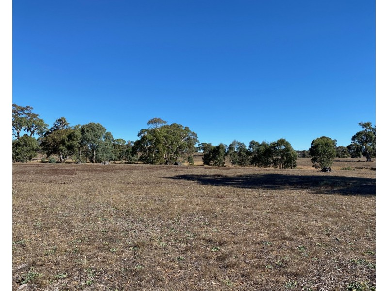 56 Strachans Road, Springton SA 5235