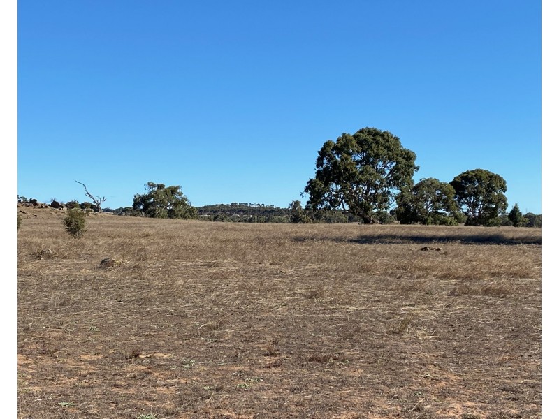 56 Strachans Road, Springton SA 5235