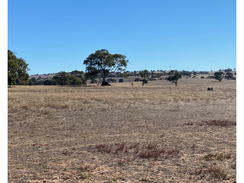 56 Strachans Road, Springton SA 5235