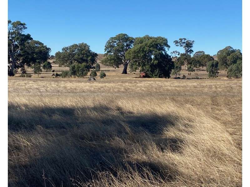 56 Strachans Road, Springton SA 5235